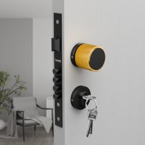 Model 1017:Jet Black/Gold PVD